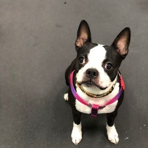 Meet your Posher, Stacey